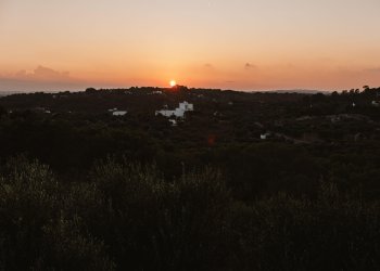 DSC_7177